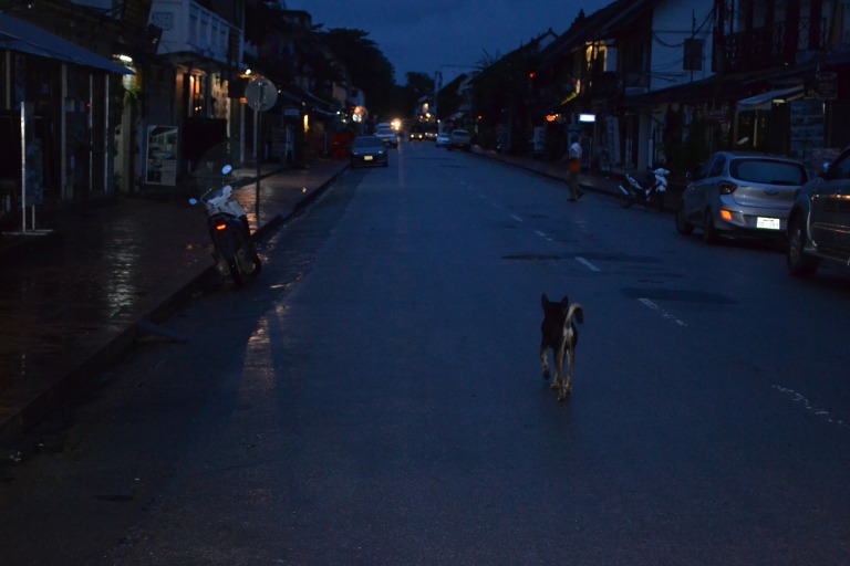 ラオス ルアンパバーンの朝ははやい。 托鉢（たくはつ）を行なっている場を 覗き見するために、朝5時に起きて、歩きはじめる。