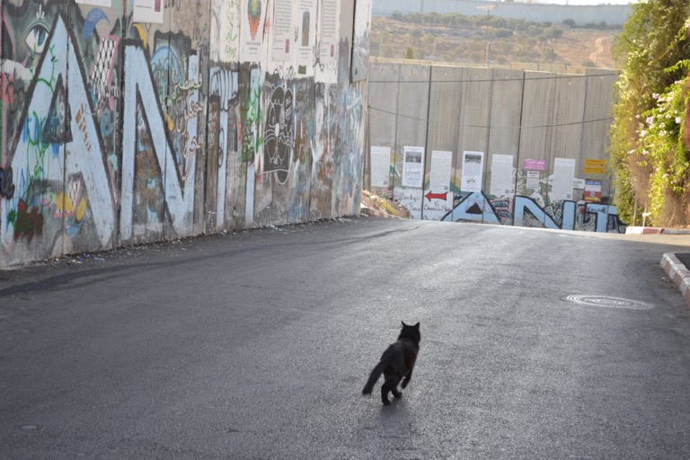 イスラエルとパレスチナの分離壁