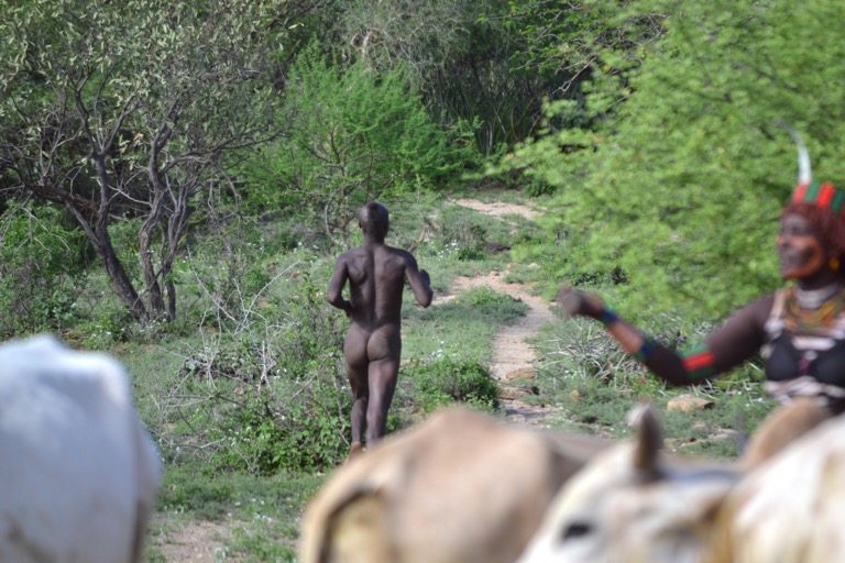 ハマル族 ブルジャンピング 牛を飛び越える 成人になるために