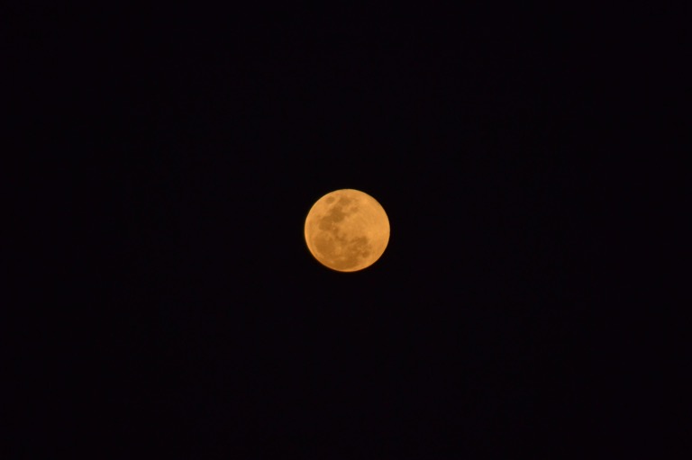 ベリーズ キーカーカー 海 マナティ アンベリーズバブル 月 満月