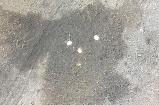 食事中に読んでくれている貴方様には、 失礼あそんばせ。Part.2 この前に、トイレットペーパーを使って お尻を拭かないなんてことを書いたのだが、 ぼくの部屋には、外国人用に トイレットペーパーが用意されているのである。 でも、トイレを詰まらせないために、 「トイレットパーパーを水に流してはいけない」 「隣のゴミ箱に捨てること」というルールが存在する。 日本で２９年間、水に流し続けてきたぼくにとっては、 このルールが、なんとも難しいのである。 つい忘れてしまって、「ポイッ」と、ね。 いやこのむずかしい様を例えると、 バスケットのゴールに今までシュートをしていたのを、 ゴールの隣にある段ボール箱にシュートしなさい。 サッカーゴールに今までシュートをしていたのを、 ゴールの隣にいるおじさんにシュートしなさい。 それくらいむずかしいのである。 わかっていただけただろうか。 それでは、今日も、明日も、明後日も、いい１日を。 いいも悪しきも習慣って、染み付いています。 現在地点／英語のトレーニング中です。 にほんブログ村の「旅行ブログ」に参加しています。 よかったら、「見たよ」のあかしに、世界一周バナーをクリックして下さい。 　１日１回のクリックが応援になる仕組みです。 [alert]感想を送る[/alert]