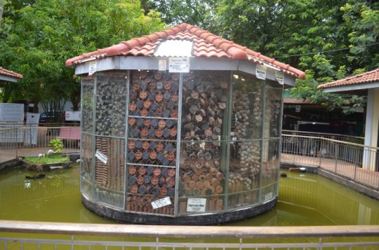 アキラというニックネームのカンボジア人が 建てた 「The Cambodia Landmine Museum」という 地雷が展示されている場所に行ってきた。 1番驚いたことは、３００人に１人のカンボジア人が 地雷被害者という数字だ。 戦いがおわったあとも、地下に埋められた 地雷の被害は続いてるのだという。 カンボジアで歩いていると、足のない人が お金を求めてくる場面に遭遇する。 ホテルの前や、レストランの前でも、 ただ手を出して、すわっている。 人間の感情として、かわいそうだと思うのだけど、 ただすわっている人にお金をあげるのは違和感だ。 そんな中で、ナイトマーケットで、 地雷被害者たちが集まって、音楽を演奏していた。 これは、とてもいいことのように思える。 きっと、誰かが「何もしないで、 お金をもらうんじゃなくて、 演奏をしてお金をもらおうぜ」と言って、 バンドを組んだのろう。 ただ、遠目から見ていて、 彼らにお金を渡している人は少なかった。 いや、ほぼいなかった。 「地雷被害者」と大きく書かれた看板の横で カンボジアの伝統的な音楽を演奏する彼ら。 残念ながらそのリズムに耳を澄ませるものがいなかった。 ぼくが好きだったドラマ『カルテット』で、 道端で『music for a found harmonium』 という曲を演奏するシーンがある。 この曲を耳にした人たちが楽しくなって、 リズムに乗って、踊りだすのだ。 生意気なことを言うようだけど、 もうすこし欲を言えば、こうやって観客を 乗せることができなければ、 お金はもらえないのです。 それでは、今日も、明日も、明後日も、いい１日を。 『カルテット』は、人を乗せていたなあ。 このときの場所／カンボジア シェムリアップ 現在地／ にほんブログ村の「旅行ブログ」に参加しています。 よかったら、「見たよ」のあかしに、世界一周バナーをクリックして下さい。 　１日１回のクリックが応援になる仕組みです。 [alert]感想を送る[/alert]